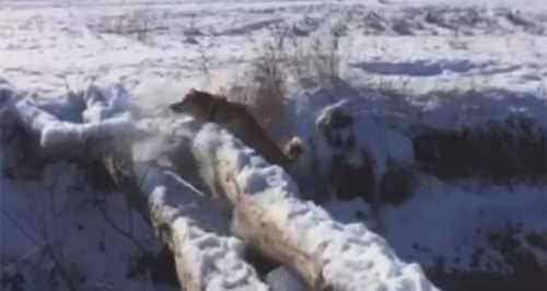 Россия