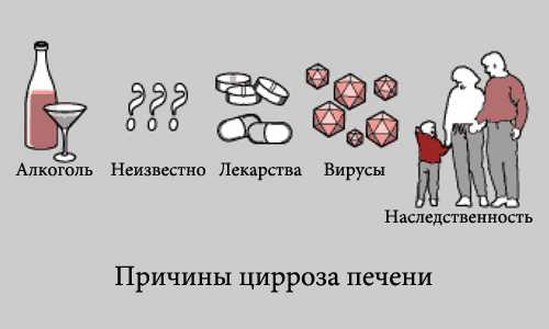 Оказывается, сочетание творога, меда и маточного молока оказывает противовоспалительное действие и способствует регенерации клеток печени