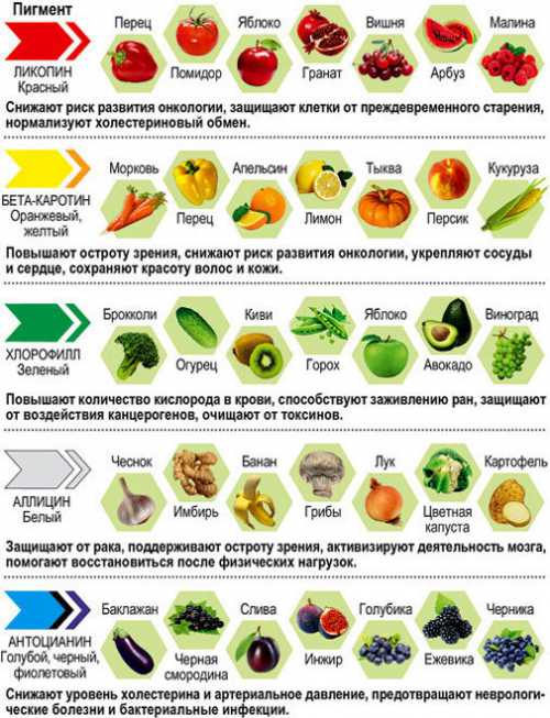 Овощи для похудения,  польза и вред для