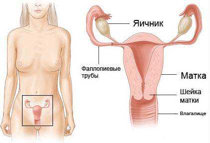 Пациентам хроникам также назначаются курсы антибактериальной терапии, стероидные противовоспалительные медикаменты