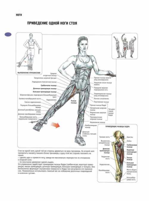 Как накачать ноги в домашних условиях девушке
