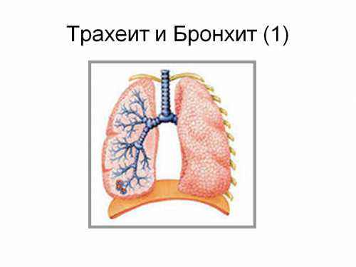 Картофельную смесь нужно выложить на грудь на тоненькое полотенце и прикрыть полиэтиленом