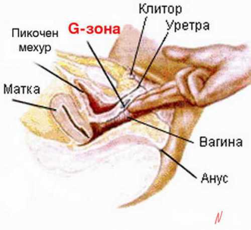 Если визуальный ряд отвлекает друг отдруга, можно оставить один лишь звук